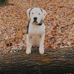 Meet your Posher, Cory